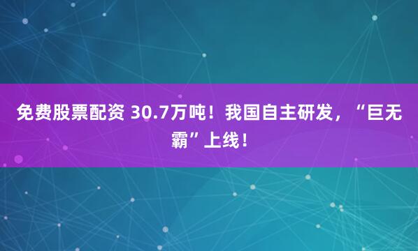 免费股票配资 30.7万吨！我国自主研发，“巨无霸”上线！
