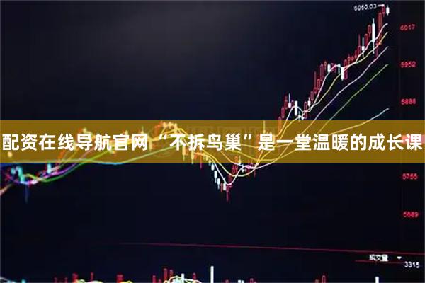 配资在线导航官网 “不拆鸟巢”是一堂温暖的成长课