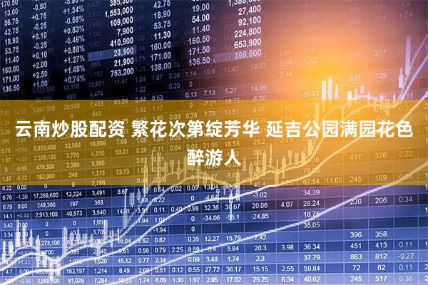 云南炒股配资 繁花次第绽芳华 延吉公园满园花色醉游人