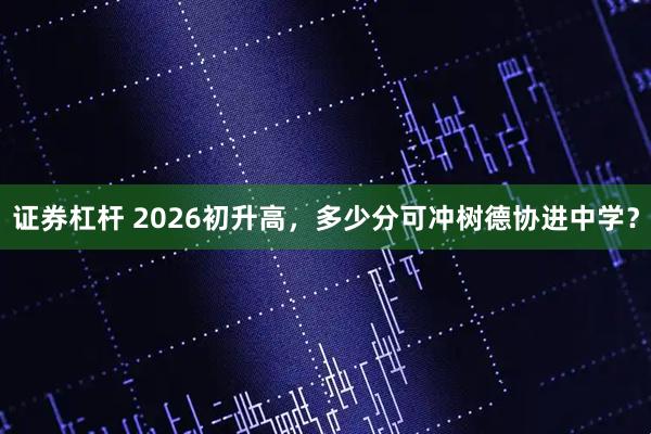 证券杠杆 2026初升高，多少分可冲树德协进中学？